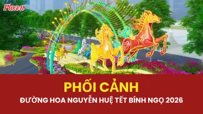 Ngắm phối cảnh độc đáo của đường hoa Nguyễn Huệ Tết Bính Ngọ 2026