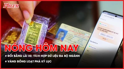 Nóng hôm nay 20-1: Thông tin mới về đổi giấy phép lái xe; Vàng miếng và vàng nhẫn đồng loạt phá kỷ lục