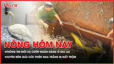 Thông tin mới vụ cướp ngân hàng ở Gia Lai; Xuyên đêm giải cứu thiên nga trắng của Thảo Cầm viên bị mất trộm