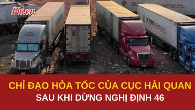 Cục Hải quan chỉ đạo hỏa tốc về thông quan các lô hàng thực phẩm tồn đọng