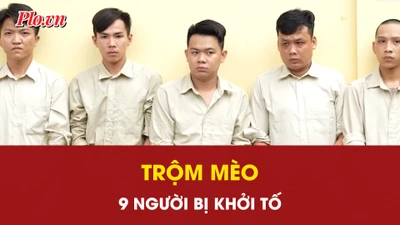 Khởi tố 9 bị can dùng súng điện, bình xịt hơi cay trộm mèo