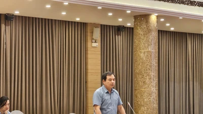 Vụ 300 tấn thịt lợn bệnh vào trường học: Bộ GD&ĐT nói gì?