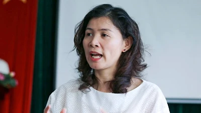 Bà Hàn Ni bị truy tố khung hình phạt 2-7 năm tù