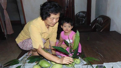 Trái xoài nhỏ, tình nghĩa lớn