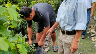 TP.HCM: 11 người tử vong do sốt xuất huyết tính từ đầu năm 2022