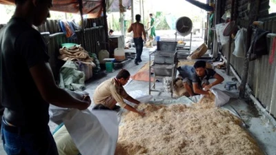 Clip: Công nghệ làm chà bông bằng thịt bẩn độn bột mì