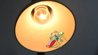 Mẹo hay- Dễ làm: Đuổi muỗi không cần hóa chất