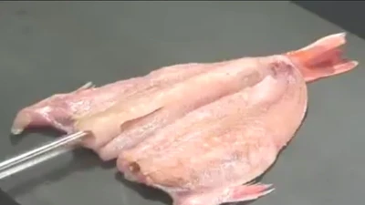 Chế biến món ăn từ cá, tinh tế đến không tưởng