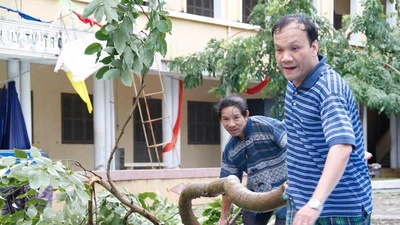 Nha Trang khắc phục hậu quả bão số 12