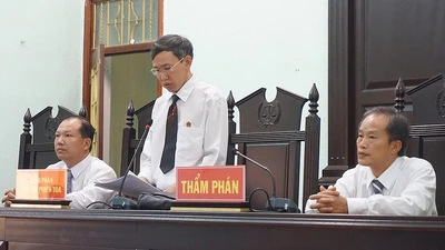 Giây phút 5 bị cáo được tuyên trắng án trong vụ cưa cây gỗ khô