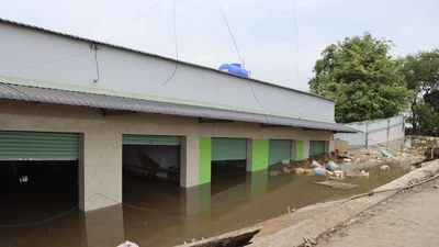 Long An: Sạt lở kéo 5 căn nhà trôi xuống sông 