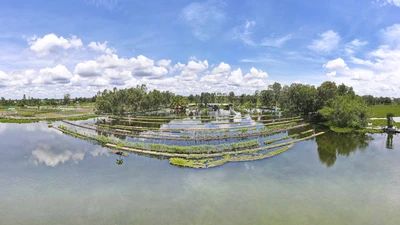 Mô hình trồng rau trên mặt nước độc lạ nhất Long An 