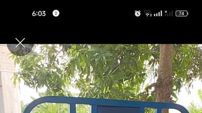 Kẻ trộm lấy xe ba gác, cột cửa trước khi tẩu thoát