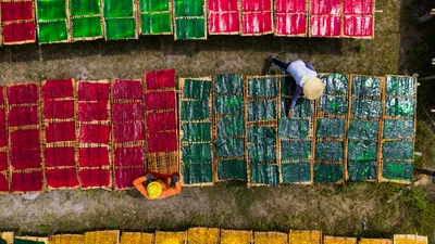 Giữ hồn nghề bột khoai mì Tây Ninh giữa nhịp sống hiện đại