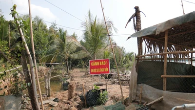 Tây Ninh: Sạt lở ven sông Vàm Cỏ Tây, người dân sống trong bất an