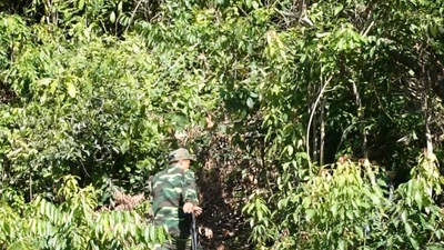Lùng sục sâu trong rừng Hải Vân bắt kẻ trốn trại giam