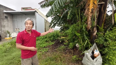 Vụ trúng đấu giá lô đất ảo: Không thể để người dân gánh hậu quả từ sai sót của chính quyền