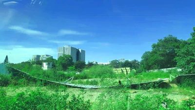 Hải Phòng mạnh tay với dự án động thổ rồi bỏ hoang 