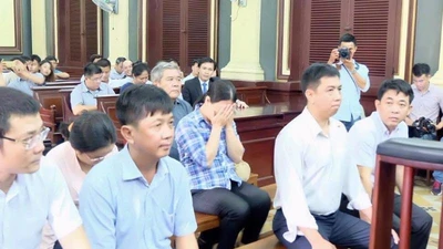 VN Pharma nhập thuốc về có chỉnh sửa tiêu chuẩn?