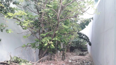 Điều tra bổ sung vụ chém người trộm vịt ở quận 12