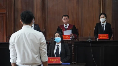 Tòa nói về kiến nghị của luật sư vụ tiếp viên hàng không 