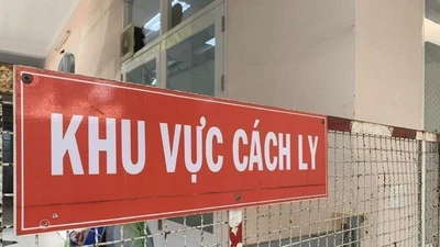 TP.HCM xử lý một người vì lén lên tàu hàng về từ nước ngoài 