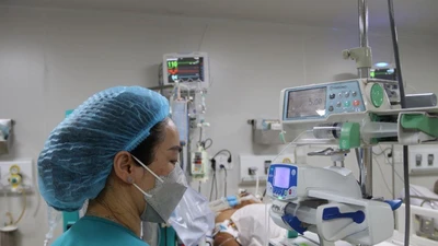 Bệnh viện ở TP.HCM căng mình điều trị bệnh nhân sốt xuất huyết nặng