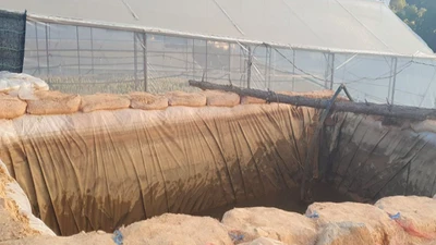 Hai cháu bé rơi xuống hồ nước tử vong