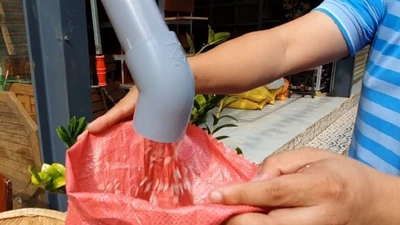 Tây Nguyên có ‘ATM gạo’ đầu tiên cho người nghèo