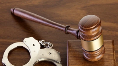 Khởi tố giám đốc trốn thuế gần nửa tỉ đồng