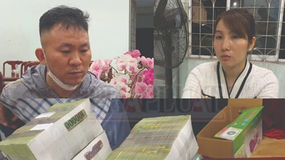 Đôi tình nhân bắt cóc giám đốc nước ngoài đòi tiền chuộc 4,5 tỉ đồng