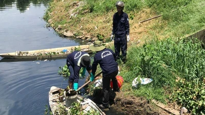 Cá chết trắng hồ ở Đà Nẵng