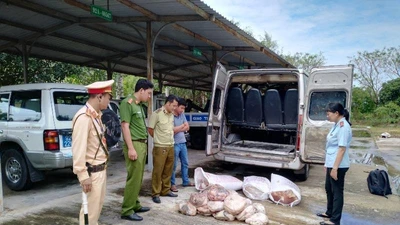 Xe khách chở 5 bao thịt thối bị phát hiện