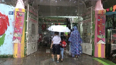 Đà Nẵng: Học sinh nghỉ học, đề nghị quân đội sẵn sàng chống lũ