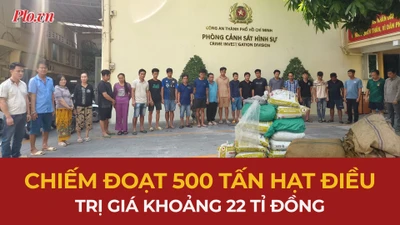 'Phù phép' xe container chiếm đoạt 500 tấn hạt điều, trị giá khoảng 22 tỉ đồng