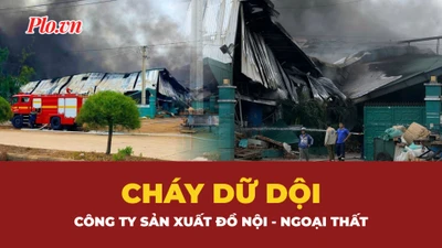 Video: Cháy dữ dội tại một công ty ở Gia Lai 