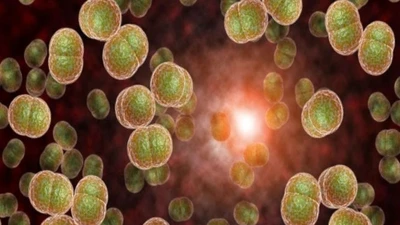 Cà Mau công bố kết thúc ổ dịch não mô cầu liên quan trại giam Cái Tàu