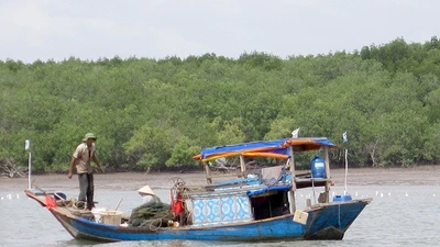 Một góc của xã đảo Thạnh An. Ảnh: L.THOA