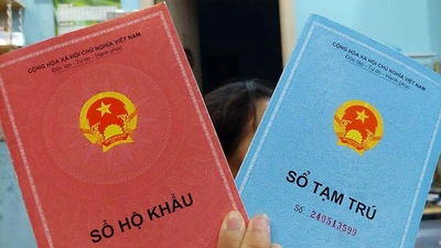 TP.HCM chấn chỉnh việc yêu cầu sổ hộ khẩu giấy trong lĩnh vực giáo dục. Ảnh: TP