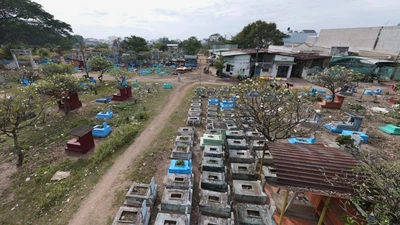 Phó Chủ tịch TP.HCM chỉ đạo sớm điều chỉnh quy hoạch nghĩa trang Bình Hưng Hòa