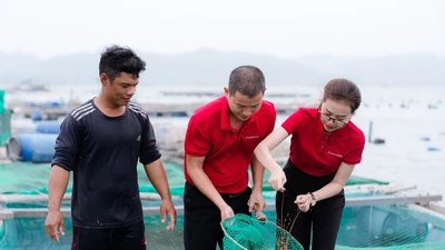 Phát triển kinh tế biển xanh, bền vững