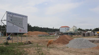 Lấn, chiếm đất công do quản lý lỏng lẻo