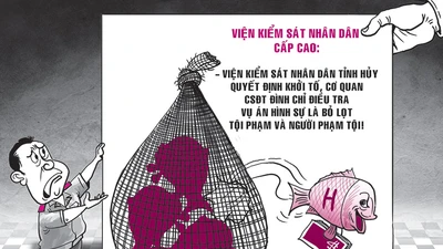 Bị bác kháng nghị, Viện Cấp cao 'cầu cứu' Viện Tối cao