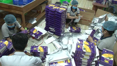 Giải pháp cứu nông sản rớt giá