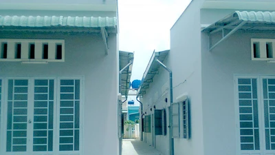 TP.HCM tổng hợp tình hình nhà trọ để phát triển nhà ở