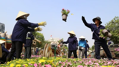 Hé lộ đường hoa Nguyễn Huệ trước ngày khai mạc
