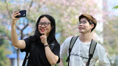 Kèn hồng nở sớm, giới trẻ đội nắng tìm chỗ check-in ở SG