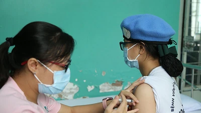 Những bóng hồng mũ nồi xanh được tiêm vaccine COVID-19