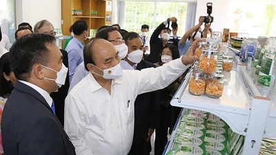 Chùm ảnh: Chủ tịch nước Nguyễn Xuân Phúc thăm, làm việc ở Củ Chi, Hóc Môn