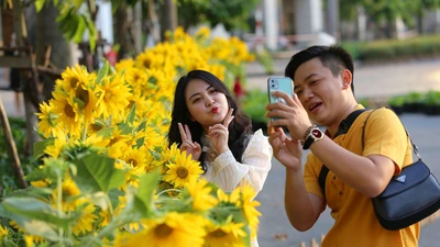 Đổ xô check-in đường hoa Phú Mỹ Hưng trước giờ khai mạc